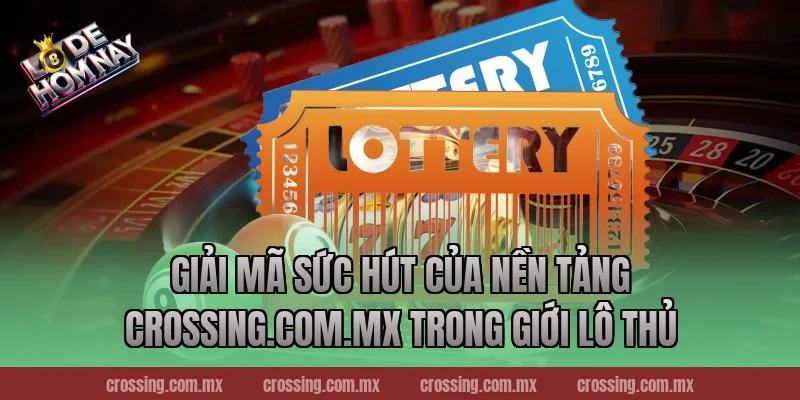 Giải mã sức hút của nền tảng crossing.com.mx trong giới lô thủ