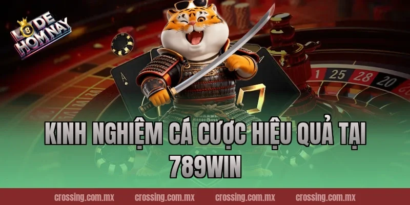 Kinh nghiệm cá cược hiệu quả tại 789Win